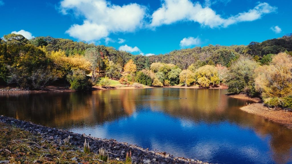 Adelaide Hills Autumn — Mount Lofty & Hahndorf