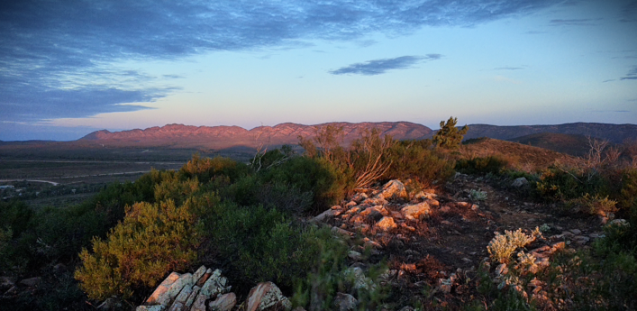 Alpenglow on the Flinders Ranges escarpment at dusk, Rawnsley Park South Australia